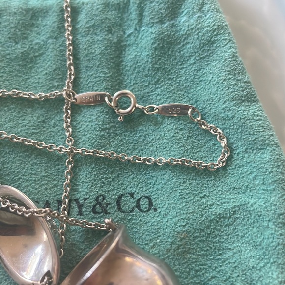 Elsa Peretti for Tiffany Sterling Inro Bottle Necklace - Picture 7 of 7